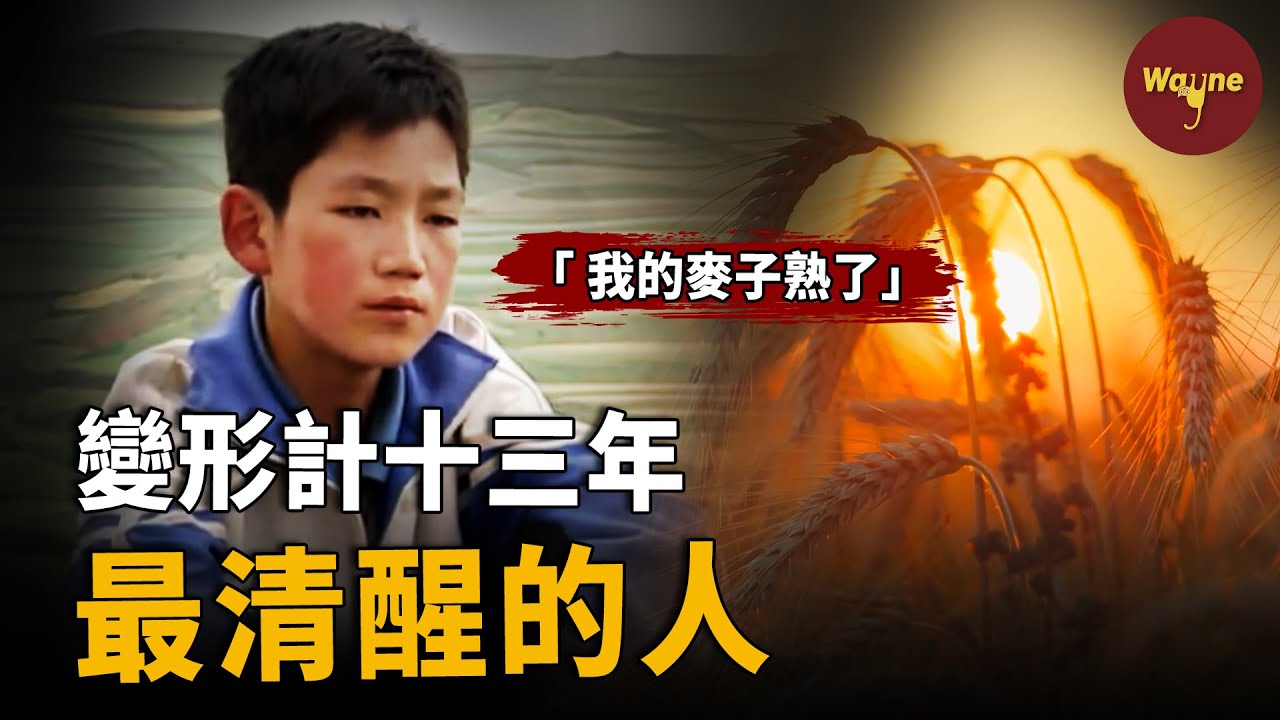 開年最爽！《變形計》16年，逆天改命的男孩贏得了富人遊戲，放棄城市舒適生活回村裡收麥子因「麥子熟了」 | Wayne調查