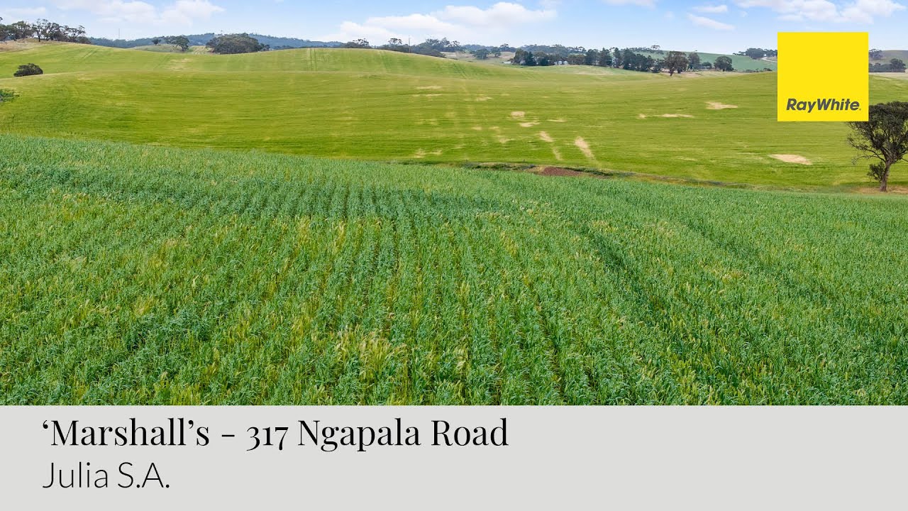 ‘Marshalls’ 317 Ngapala Road, Julia, South Australia