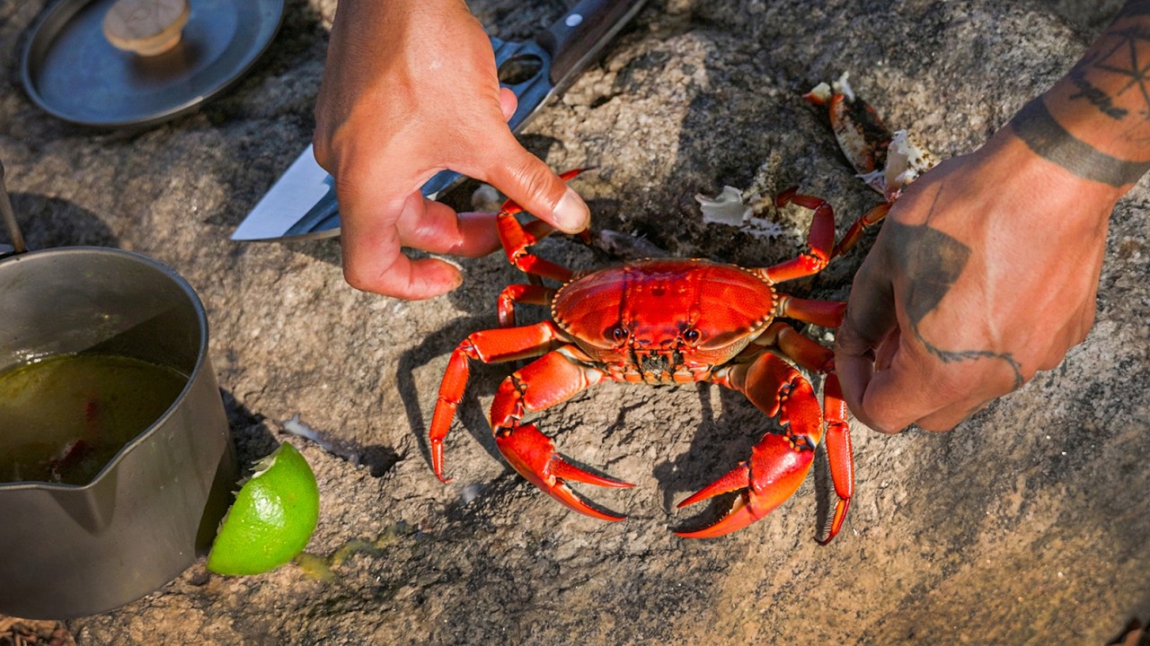COZINHANDO e COMENDO CARANGUEJOS, Na Beira do Mar