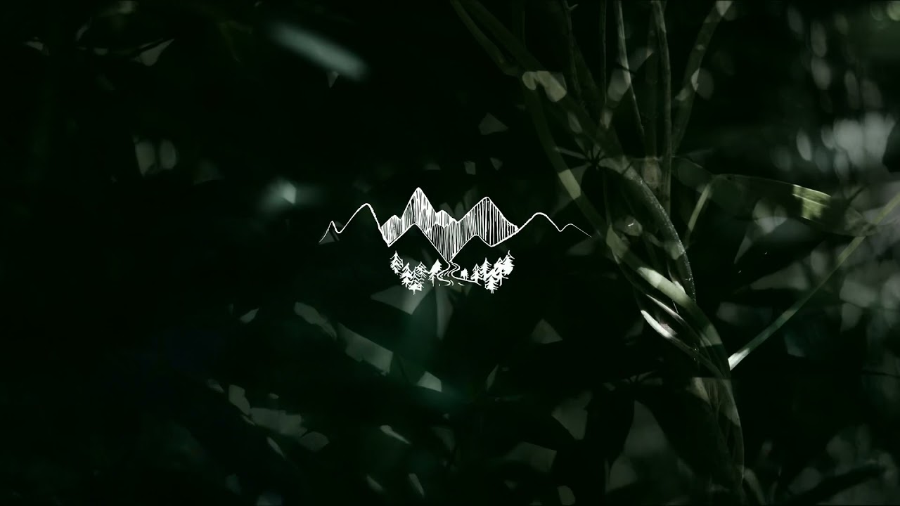 Shapes and Trees - We Dream of Eden