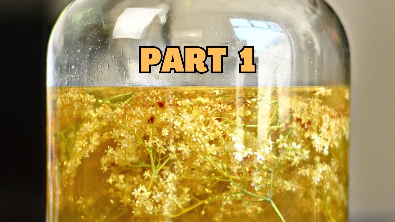 How to make Elderflower Mead from scratch (part 1)