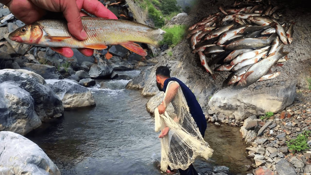 Trout Fishing in Pakistan | Fishing in Pakistan | Catching 100 Fish CHALLENGE