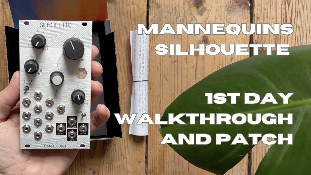 Silhouette by Mannequins // What is it? // 1st day patch