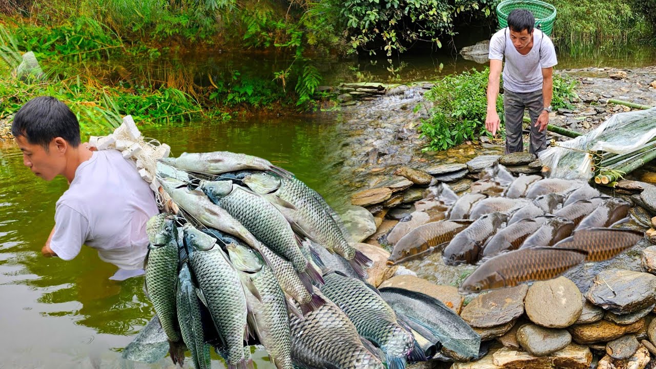 Traditional fishing skills of CEO Trieu Lam, caught many giant fish in the river