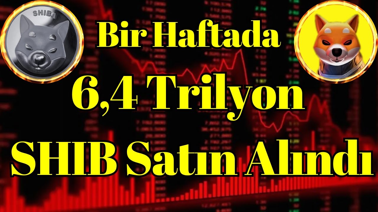 Kripto Sesli Haber | Bir Haftada 6,4 Trilyon Shiba Inu (SHIB) Satın Alındı