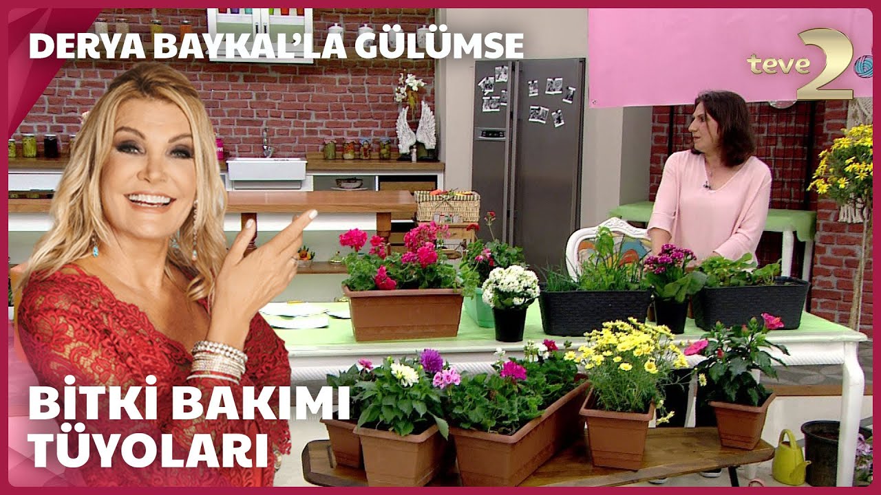 Derya Baykal'la Gülümse | Bitki Bakım Tüyoları 🌺
