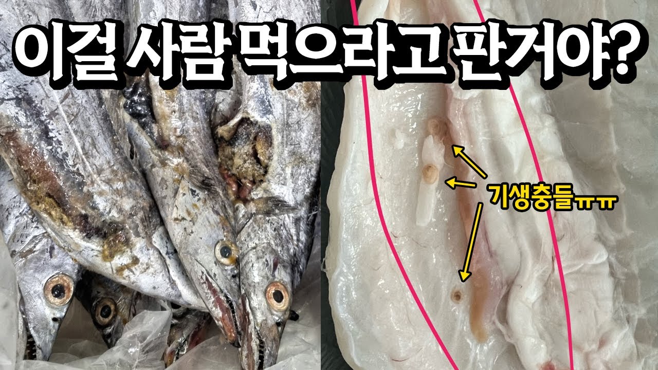 끝까지 우기고 경찰까지 부르는 한국의 수산물 판매 현황, 총체적 난국이네요(입문철TV EP.020)