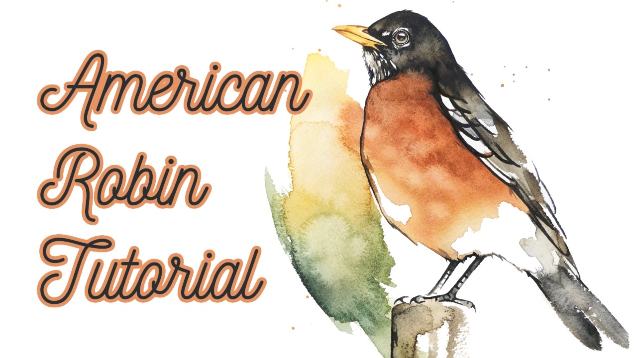 American Robin Watercolor Tutorial | From Sketch to Finished Painting