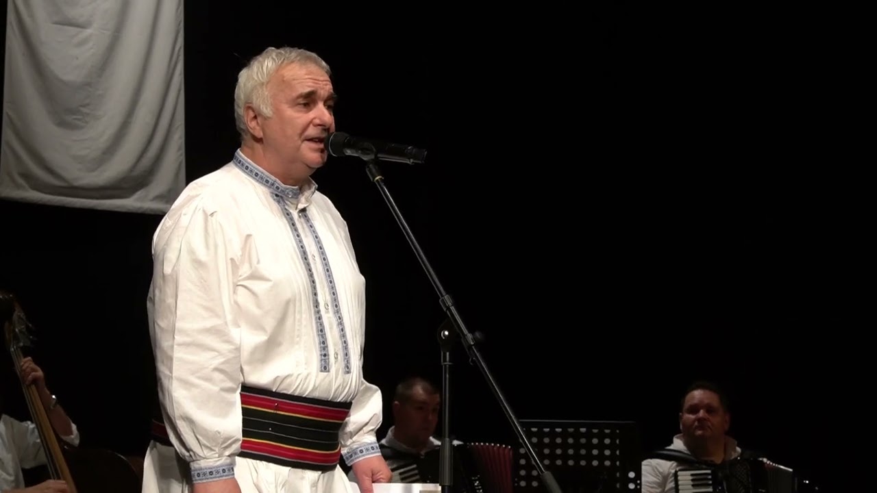 SAŠA DRAŽILOVIĆ SENA -  Fluarja în prunji a înflorit (  Drugo izvođenje )