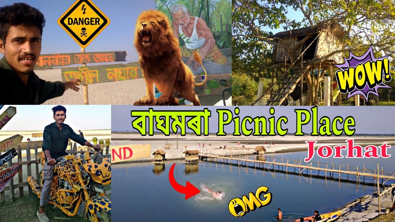 বাঘমৰা Picnic Place Jorhat... Beutiful place in Jorhat...#baghmora #picnicspot #jorhat