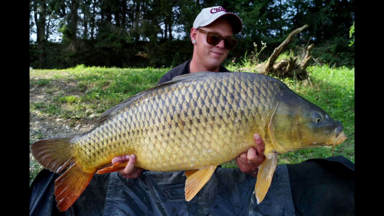 Fischen in der Südsteiermark
