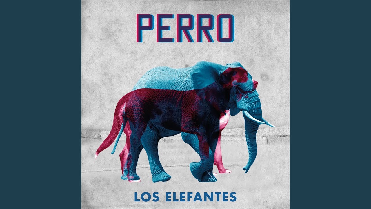 Perro