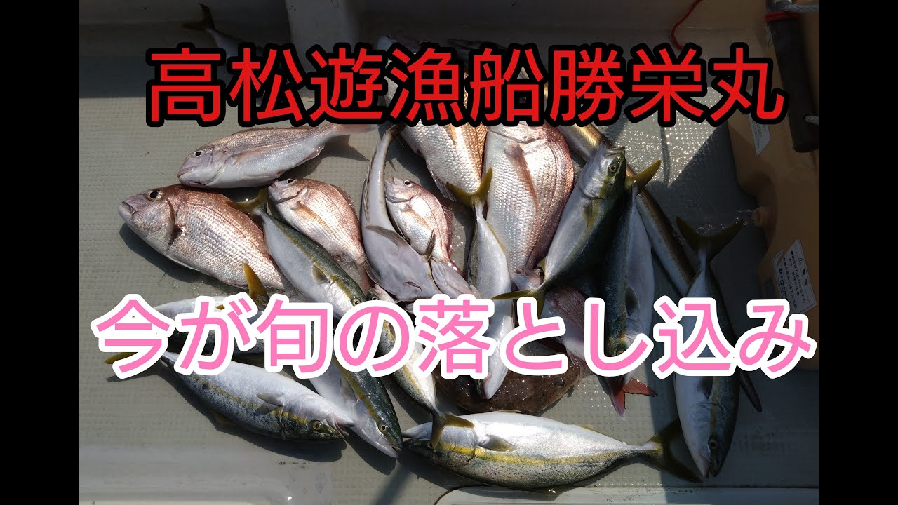 瀬戸内 落とし込みHITシーン！高松遊漁船勝栄丸