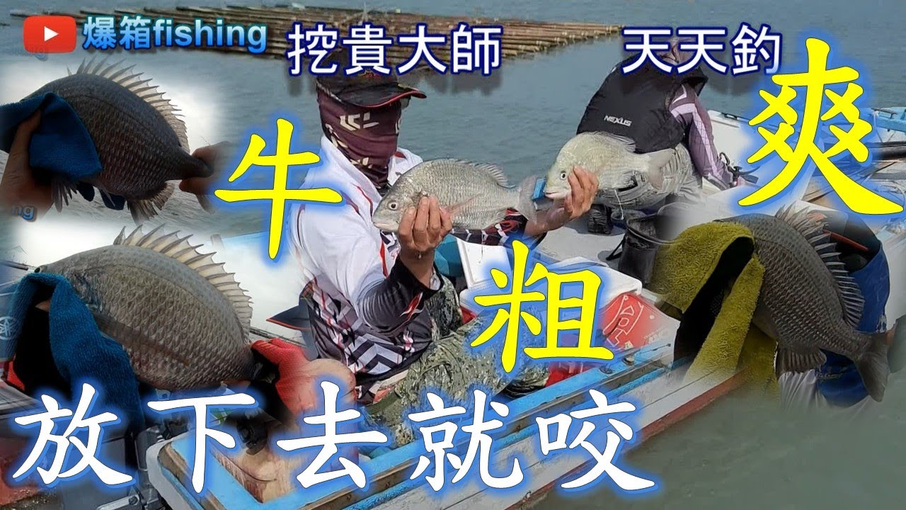 東石外傘項洲，粗粗粗~牛牛牛，爽! #釣魚#黑鯛#黑格#浮標#筏釣#泡綿船#fishing