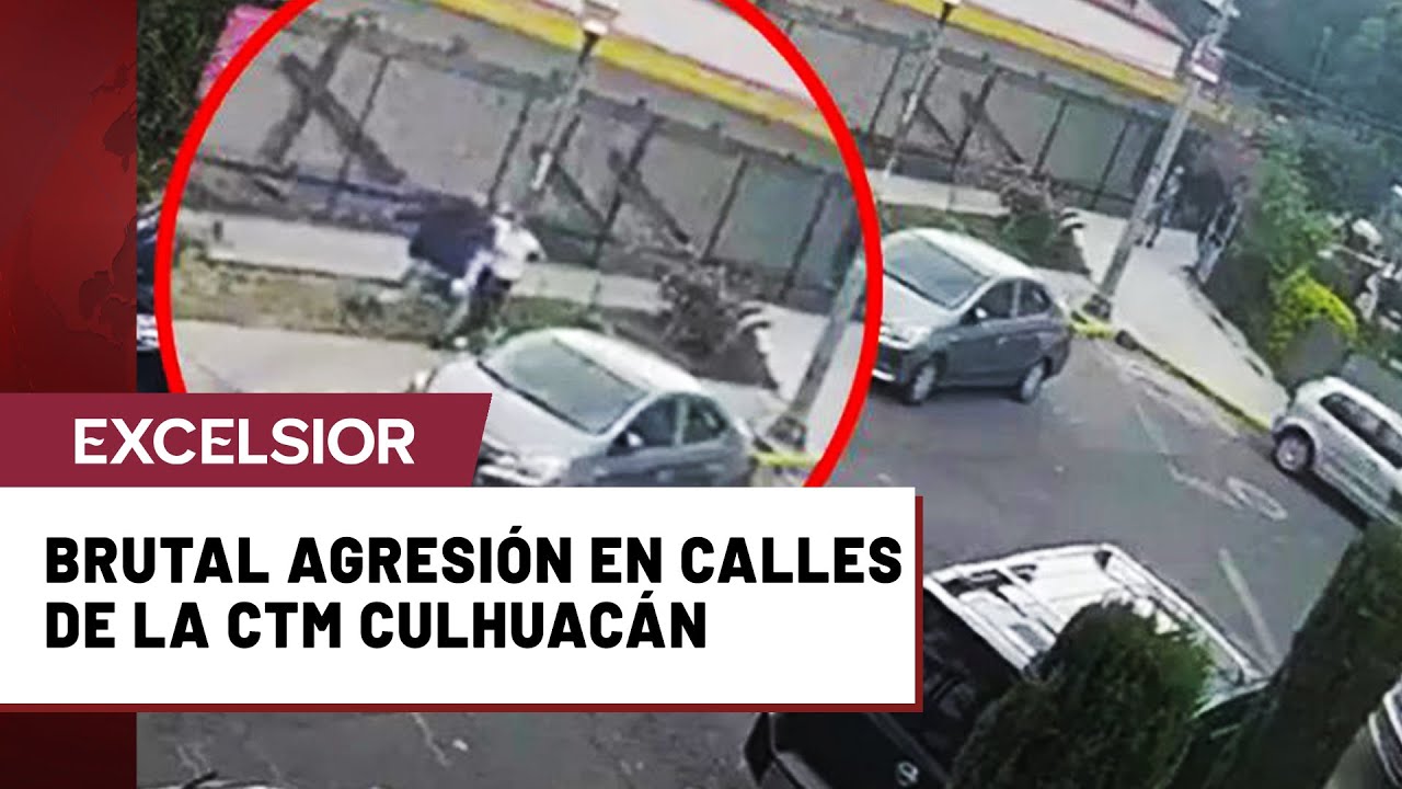 Mujer golpeada cuando paseaba a sus perros levanta demanda contra agresor