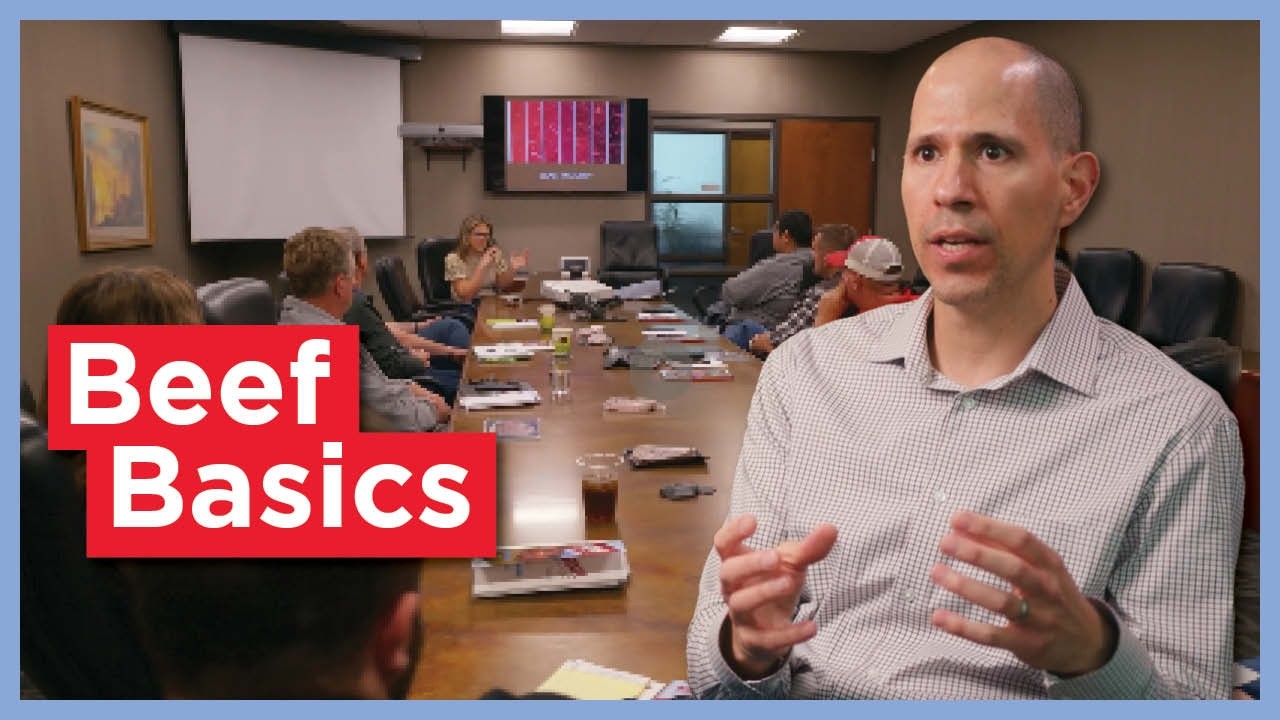 Beef Basics: Learning the Industry | National Beef