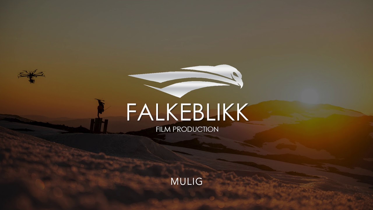 Falkeblikk AS - Strategioppgave 2018