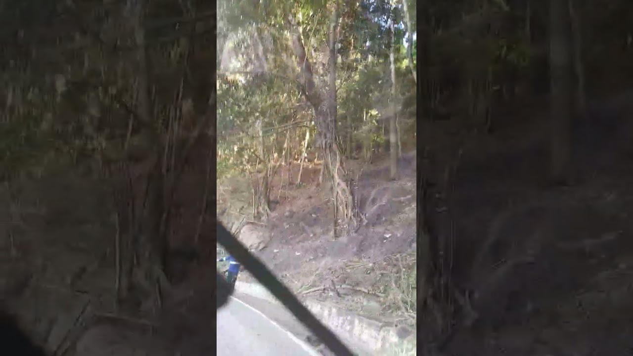 Segunda kinaya ni maxima z umakyat sa lumang sigsag ng atimonan quezon kargado ng mga bakal 