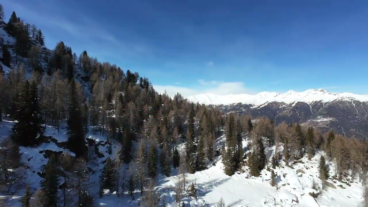 Vista Malga Copai