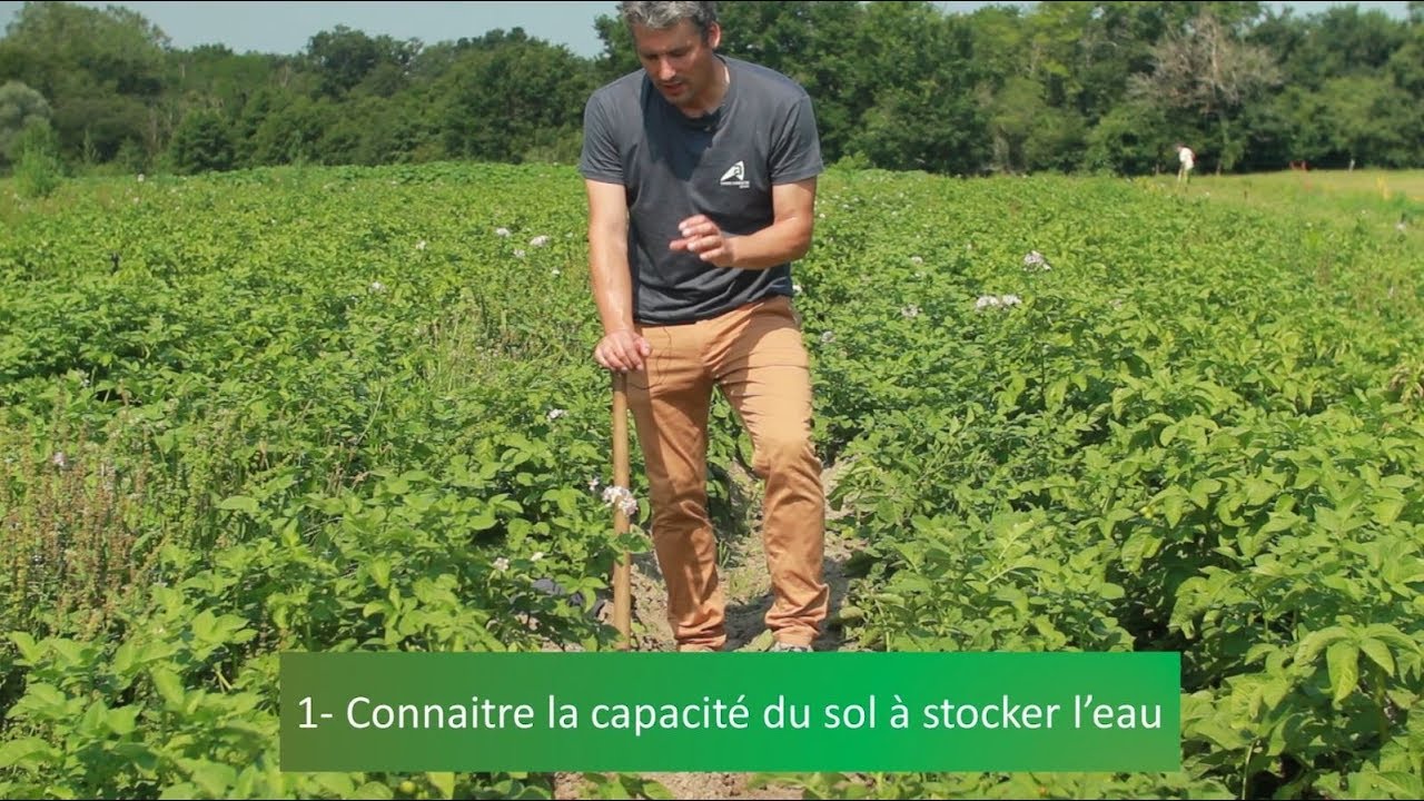 Comment piloter l'irrigation avec le bilan hydrique ?