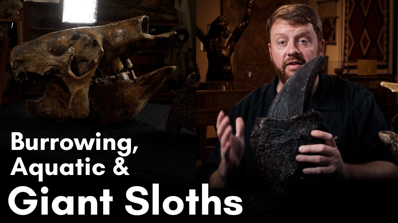Ice Age Sloths of North and South America