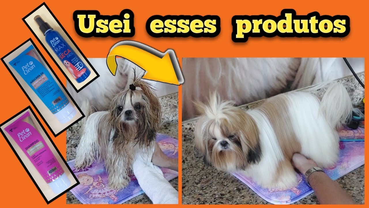 TESTEI UM SHAMPOO E UMA MASCARA DA PET CLEAN