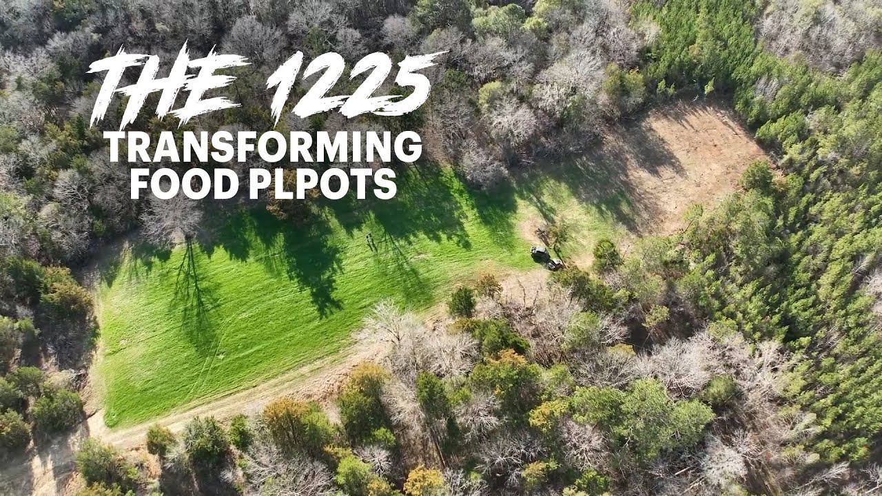 Transforming Food Plots: Real Talk on Equipment, Ryegrass, and Clover Management