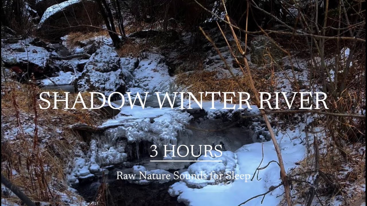 Shadowed Frozen River ❄️ 3 HOURS Gothic Dark 🌑 Winter Nature Ambient for Sleep 