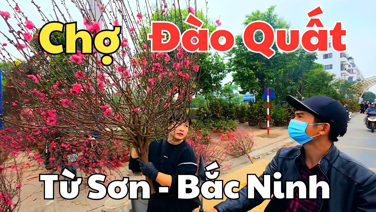 Chợ Đào Quất Từ Sơn Bắc Ninh, nơi bán hàng đẹp được giá