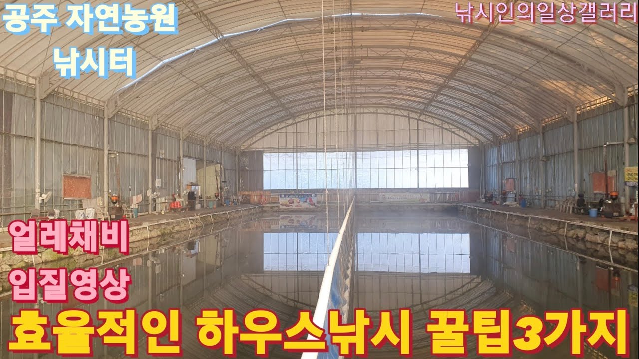 효율적인 하우스낚시 꿀팁3가지(얼레채비 입질영상모음)