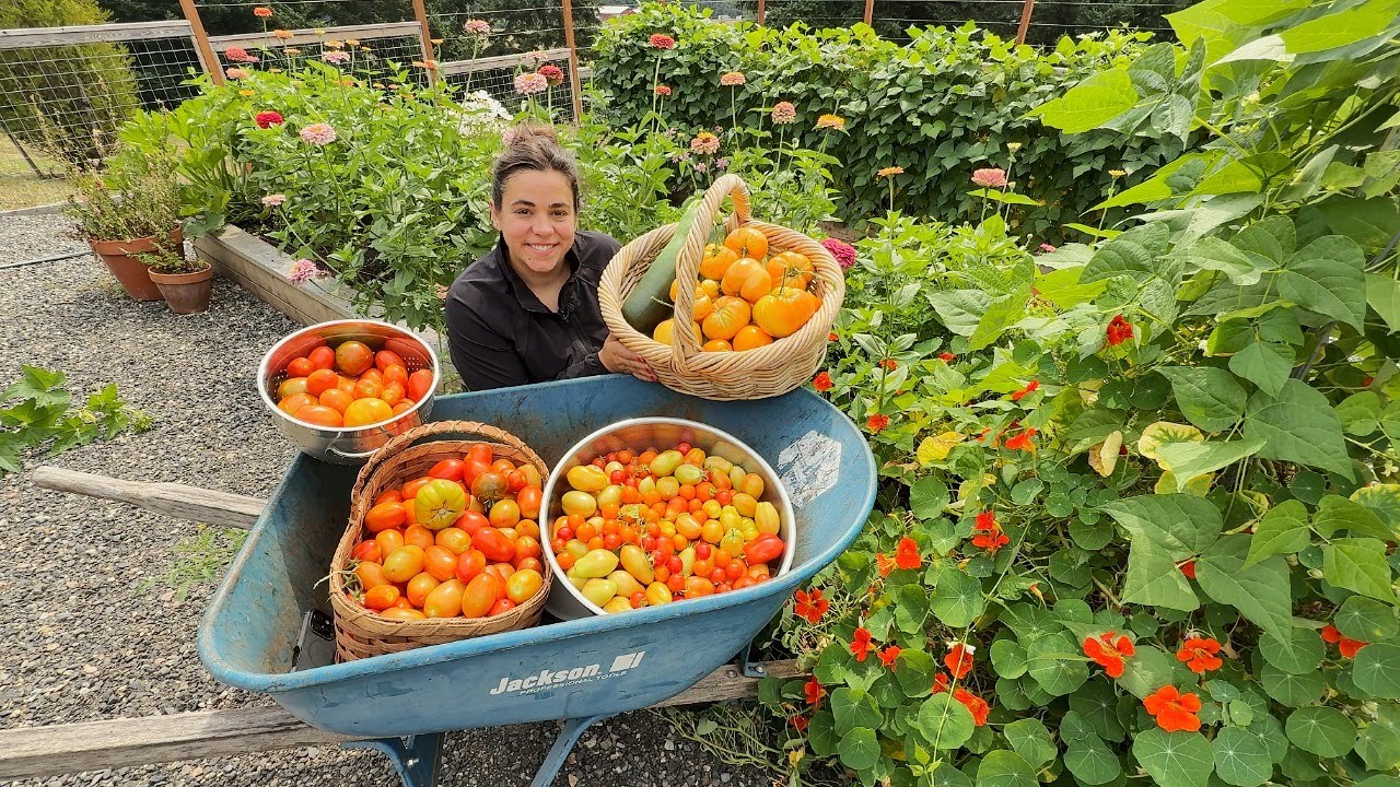 Saying Goodbye! A Massive Harvest! Shopping My Pantry!