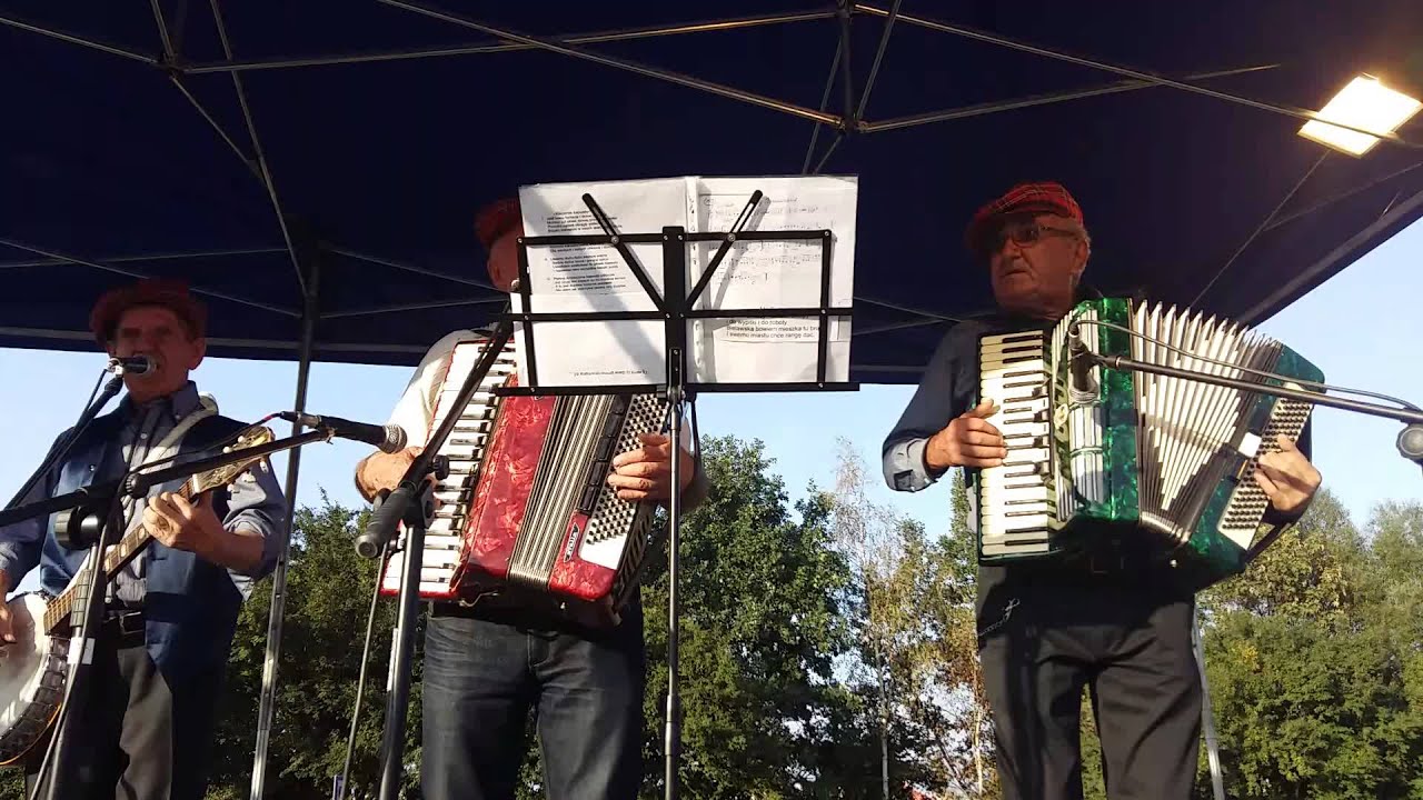 Bielawska Kapela Podw&oacute;rkowa - Dzień Działkowca w Bielawie 2015