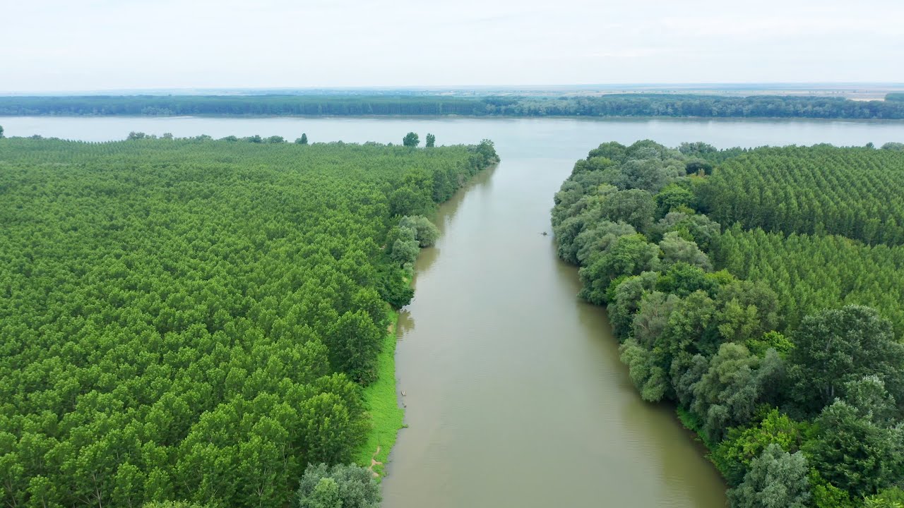 Вливането на река Искър в Дунава - Iskar in Danube