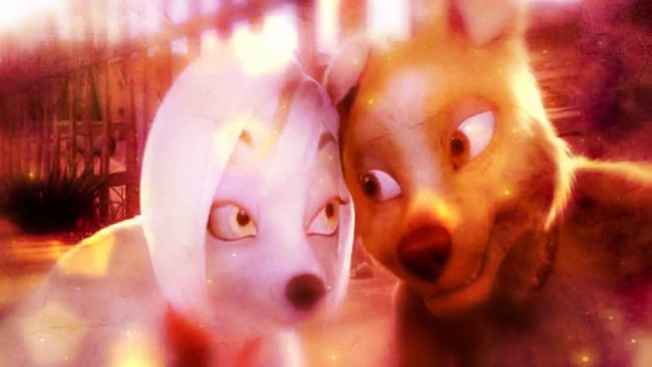 ♥ Animash - With you ♥ || нαρρч Ѵαℓєитιиє'ѕ ∂αу! || Sorry, its late x3 ♥