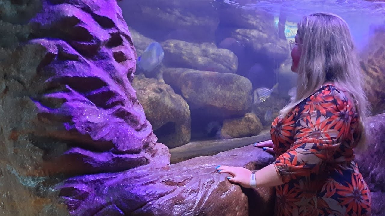 Praia Grande em Ubatuba e seu Aquário.Vc gosta de conhecer animais com certeza irá amar esse vídeo.