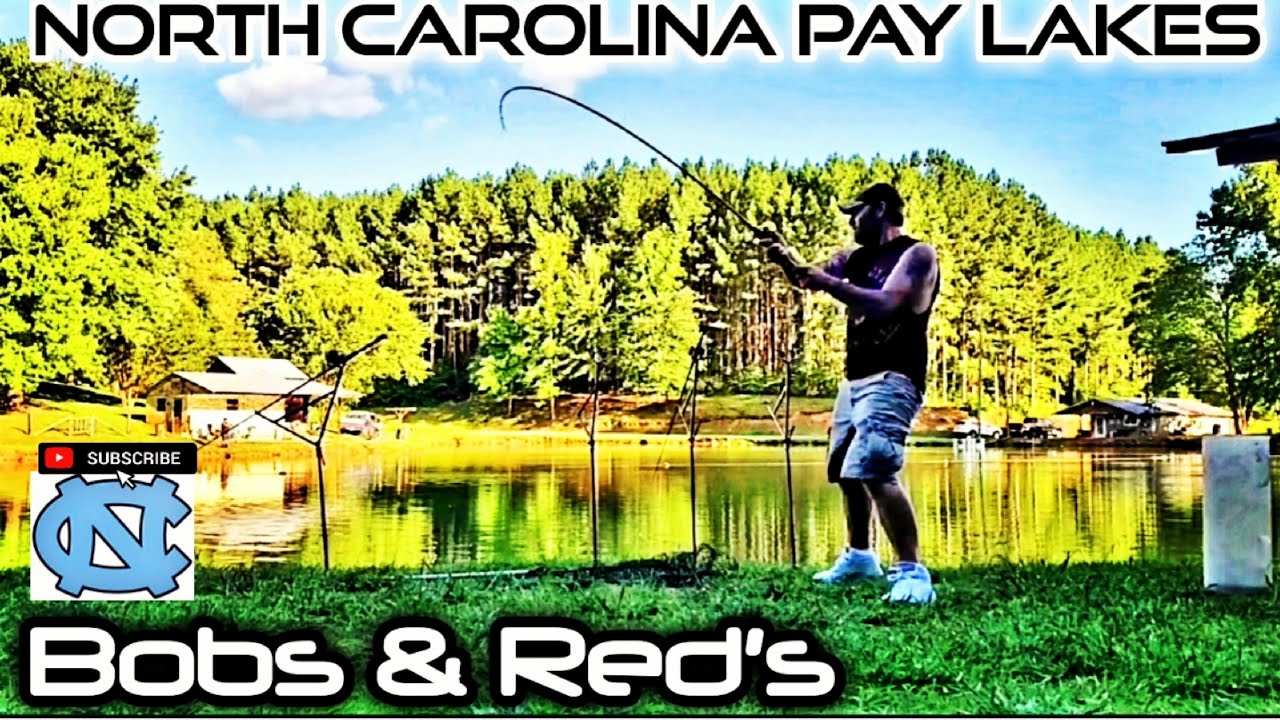 NORTH CAROLINA PAY LAKE CARP FISHING ADVENTURE (Surry County)