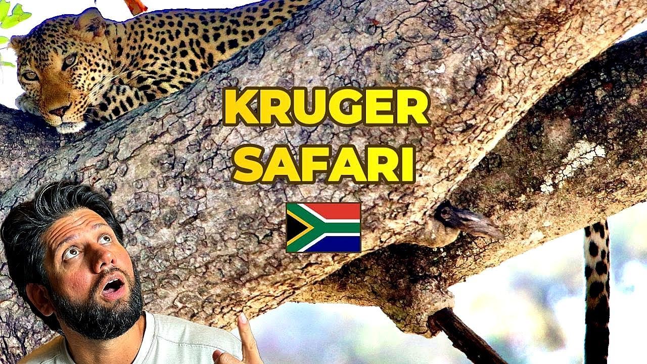 My First Time in Kruger National Park!