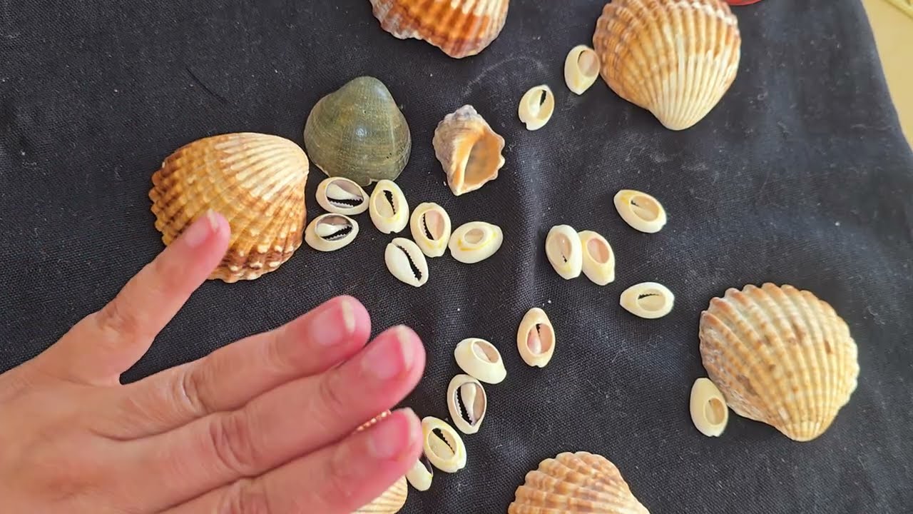 فالك بحجر الودع❤️ وتباشير آخر السنة الله الله عليها😍💕