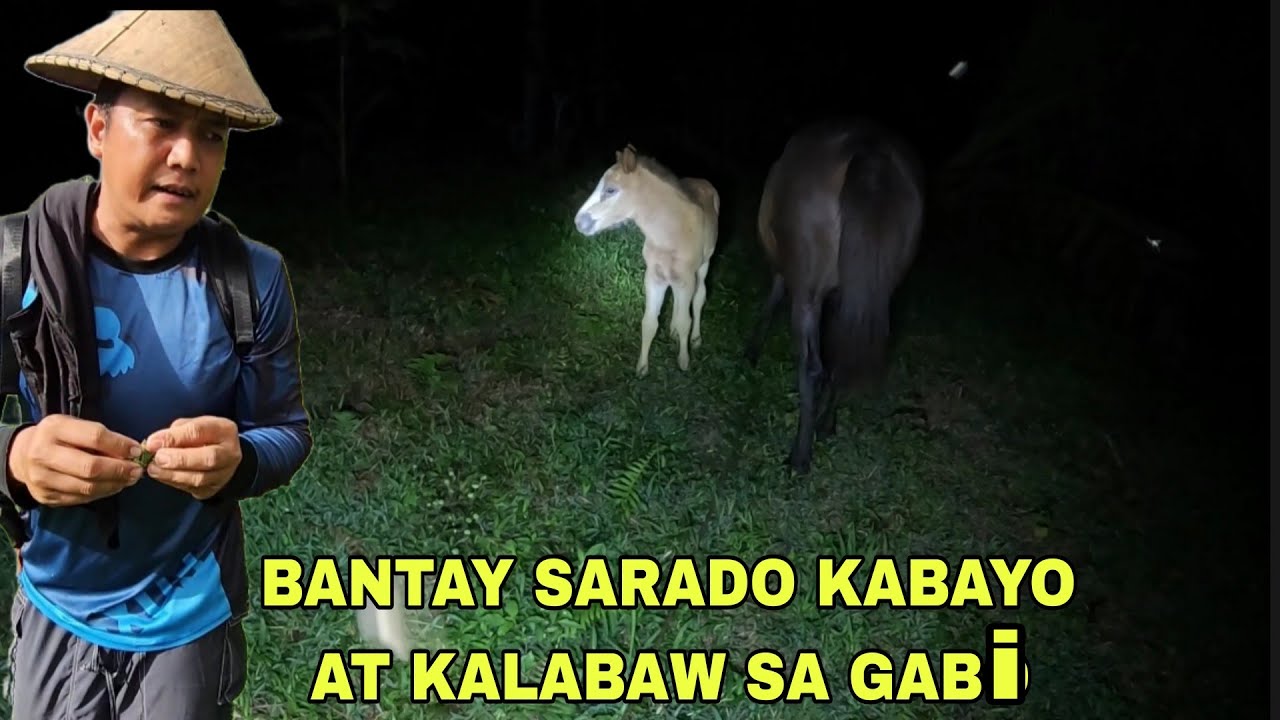 Ronda sa gabi bantay sarado mga hayop sa gabi nagkakawalaan ng mga hayop sa kalapit barangay alerto
