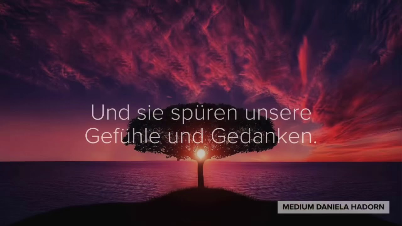 Jenseitskontakte, medialer Abend