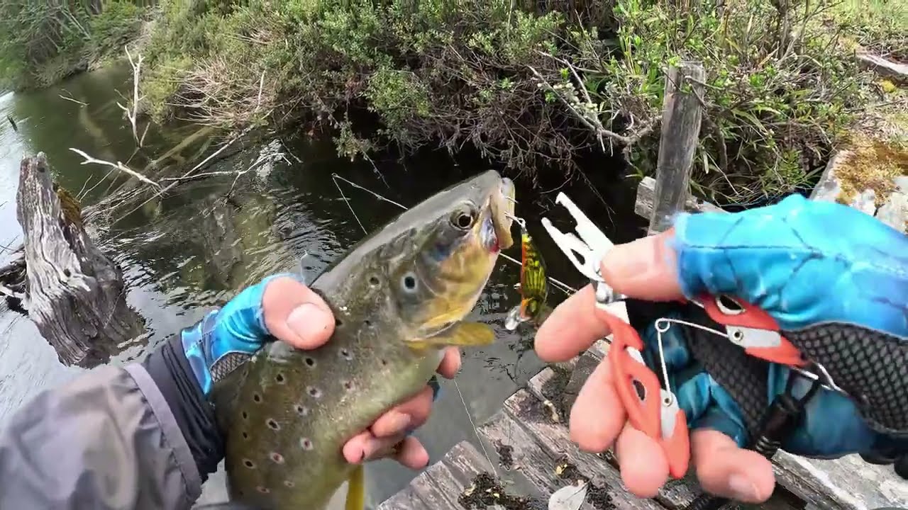 SALIDA PESCA 12 DE NOVIEMBRE 2023