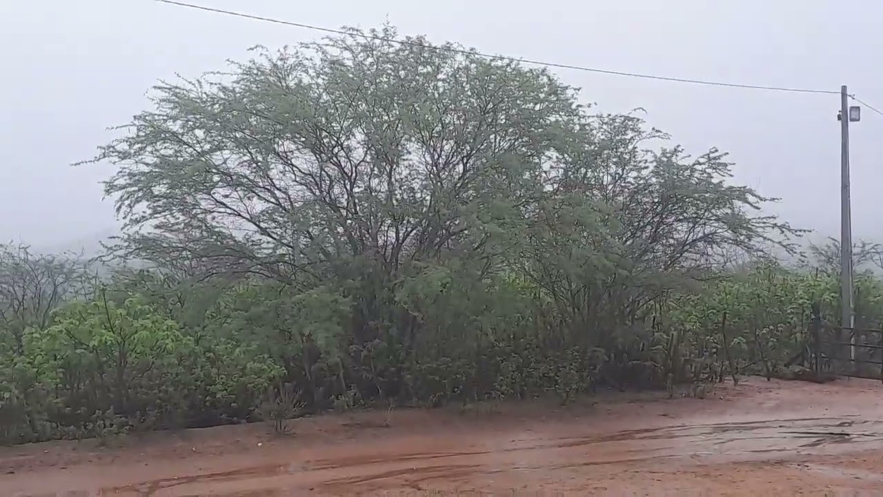 Chuvas hoje dia 12/02/ 2026