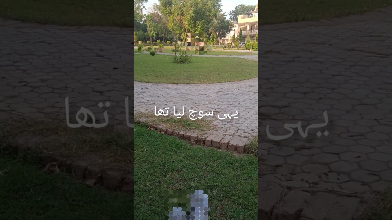 عامر قذافی کا جو اپنے رب پر توکل تھاـــ کیا آپ لوگوں نے کبھی اپنے رب پر اتنا توکل کیا؟؟