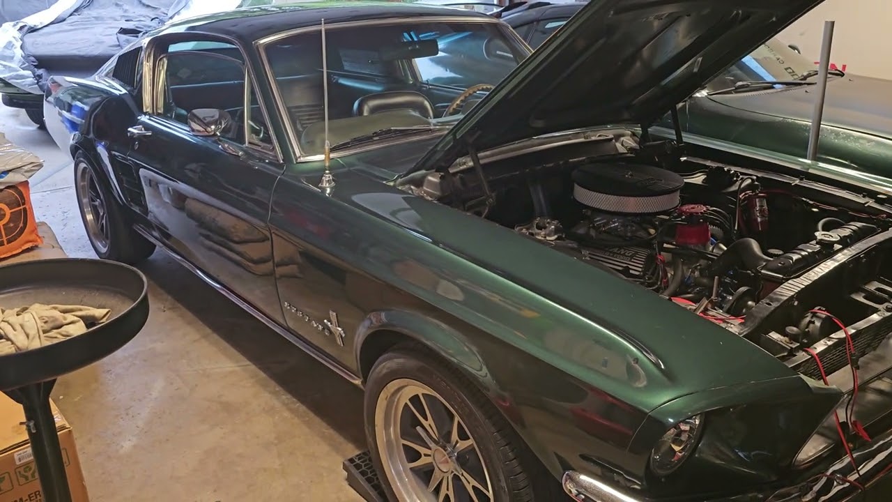 1967 Ford Mustang Fastback 289