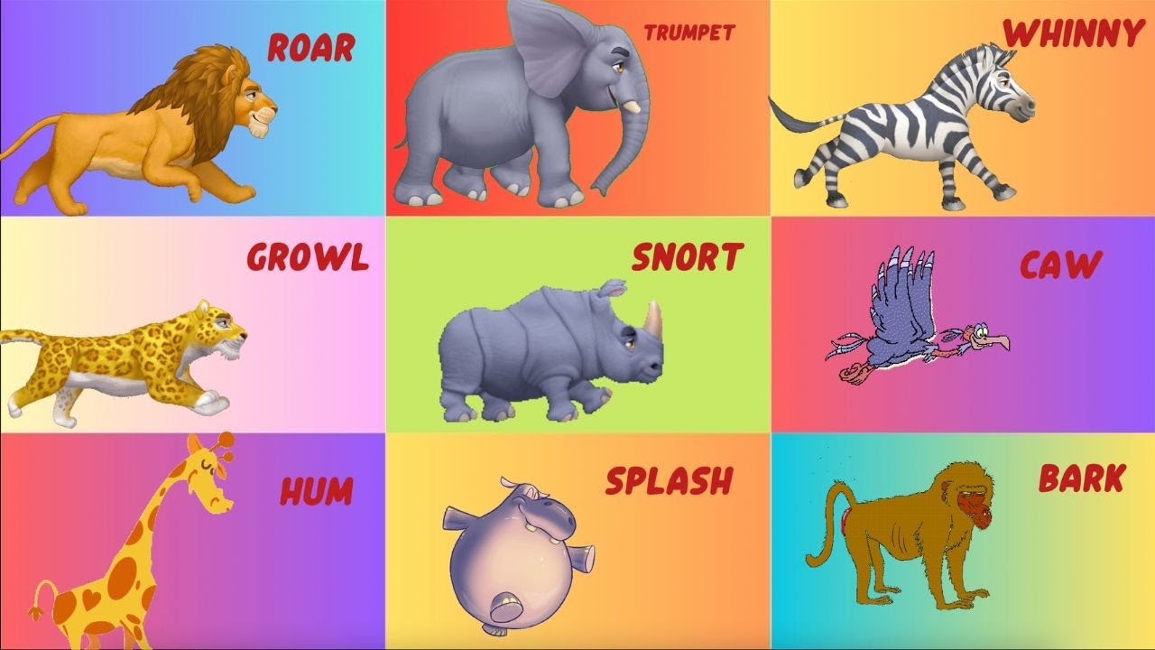 Safari Animal Sounds Song O0130 | Nursery Rhymes | Oink Oink TV