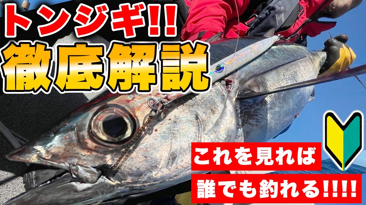 プロがトンジギの釣り方を徹底解説～最強のメタルジグで巨大マグロを狙う～ジギングが今アツい！！