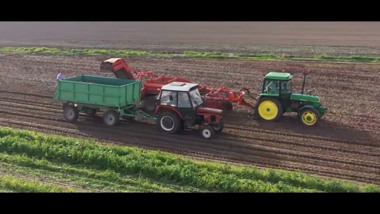 Dr Jasnowidz Słodź Polaku Słodź nieoficjalny teledysk.