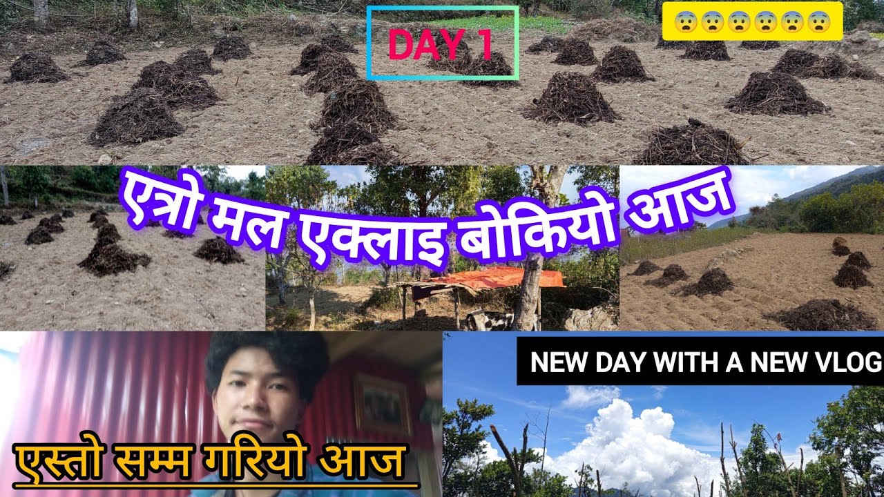 BALLA SAKIYO EATRO BOKERA || 😩😩 || एक्लै परियो आज त || 🏵️🌺 || DAY 1 💯💯💯 