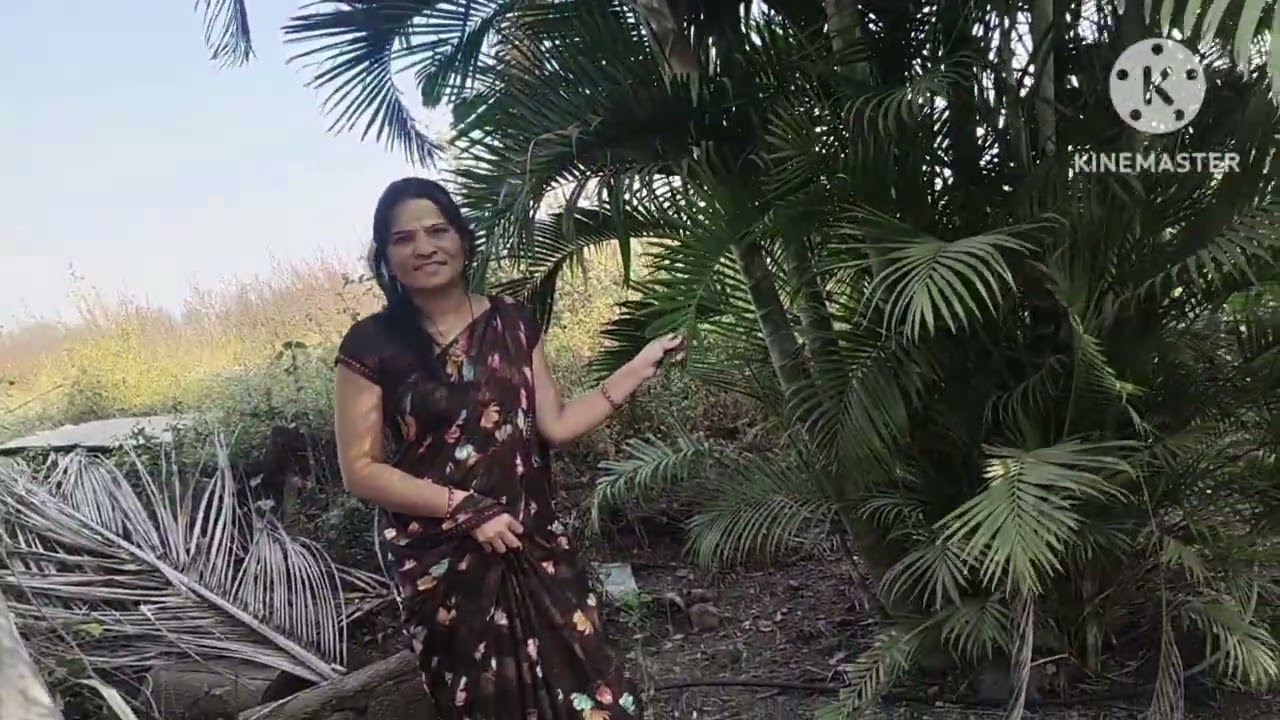 आज आमचा शेतात फेर फटका #@Megha Gaikwad -f4j 