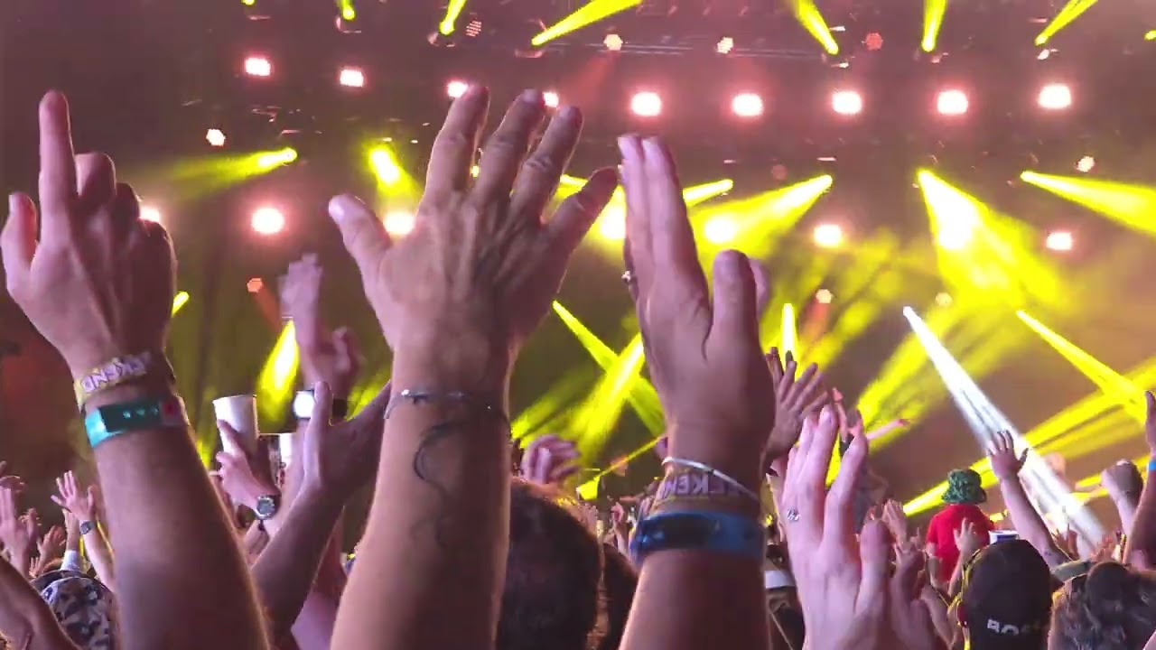 Tom Meighan 톰메이건 - L.S.F. [Kasabian] (isle of wight festival 2024)